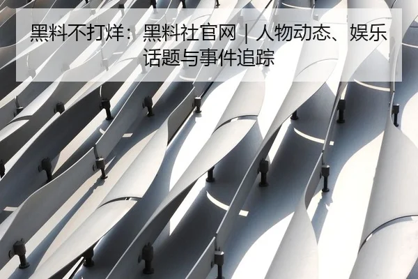 黑料不打烊：黑料社官网｜人物动态、娱乐话题与事件追踪（51cg1）